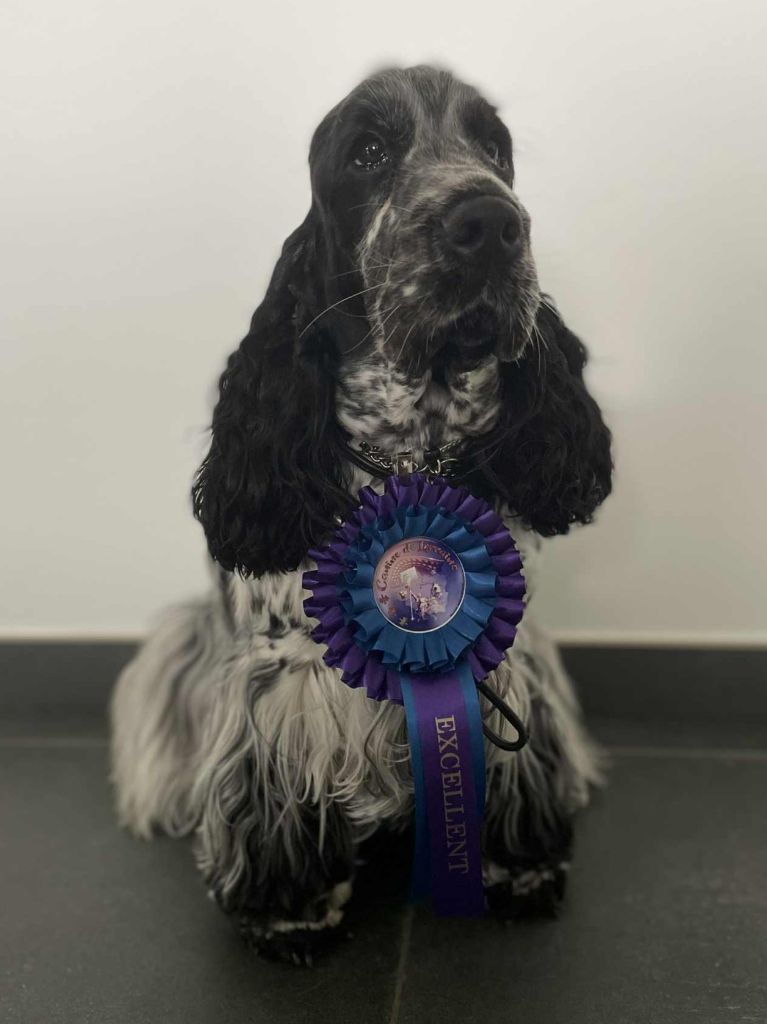 CH. Xclusivité Du Pré Aux Etocs